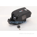 36V Frog Lithium Battery for Ebike